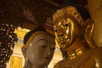 IMG_9676