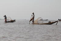 IMG_0555