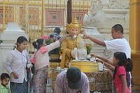 IMG_9666