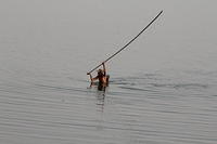 IMG_9919