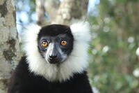 Madagascar 2022