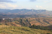 IMG 9384