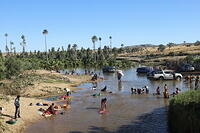 IMG 9785