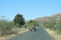 IMG 9793