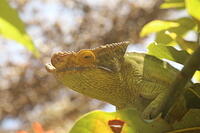 IMG 9844