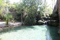 IMG 9707