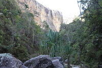 IMG 9775