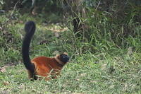 IMG 0039