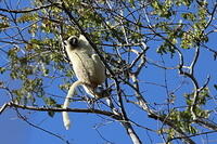 IMG 9151