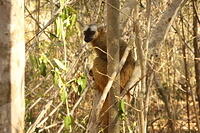 IMG 9173