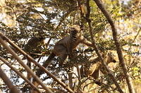 IMG 9192