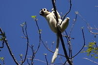 IMG 9739