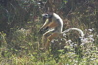 IMG 9971