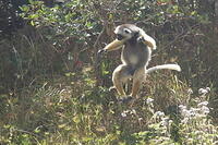 IMG 9975
