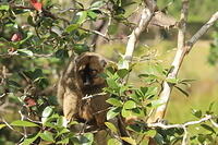 IMG 9980