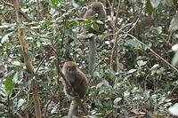 IMG 9981