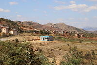 IMG 9358