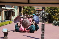 IMG 9362