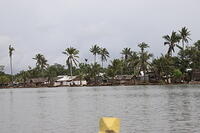 IMG 9581