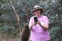 IMG 9985