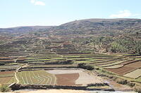 IMG 9118