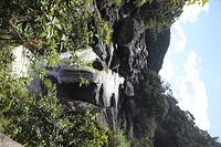 IMG 9590
