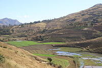 IMG 9595