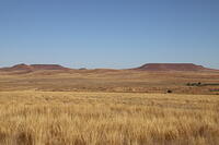 IMG 9790