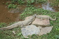 IMG 0053