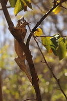 IMG 9625