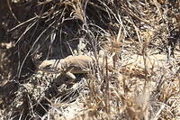 IMG 9719