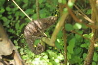 IMG 9818