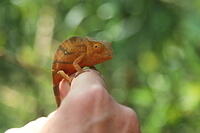 IMG 9820