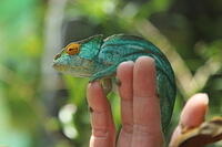 IMG 9821