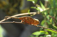 IMG 9823