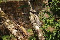 IMG 9829