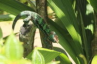 IMG 9830