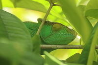 IMG 9836