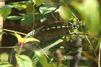 IMG 9839