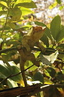 IMG 9845