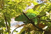 IMG 9846