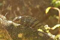 IMG 9850