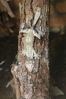 IMG 9854
