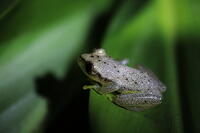 IMG 9863