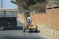 IMG 9338