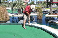 IMG 5218