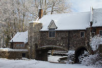 IMG_9511