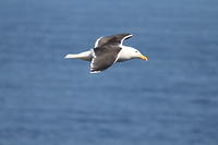 IMG_0278