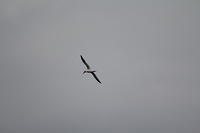 IMG_0560