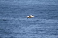 IMG_0269